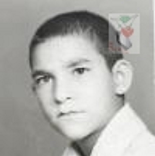 Martyr محسن دیلم کیارودی